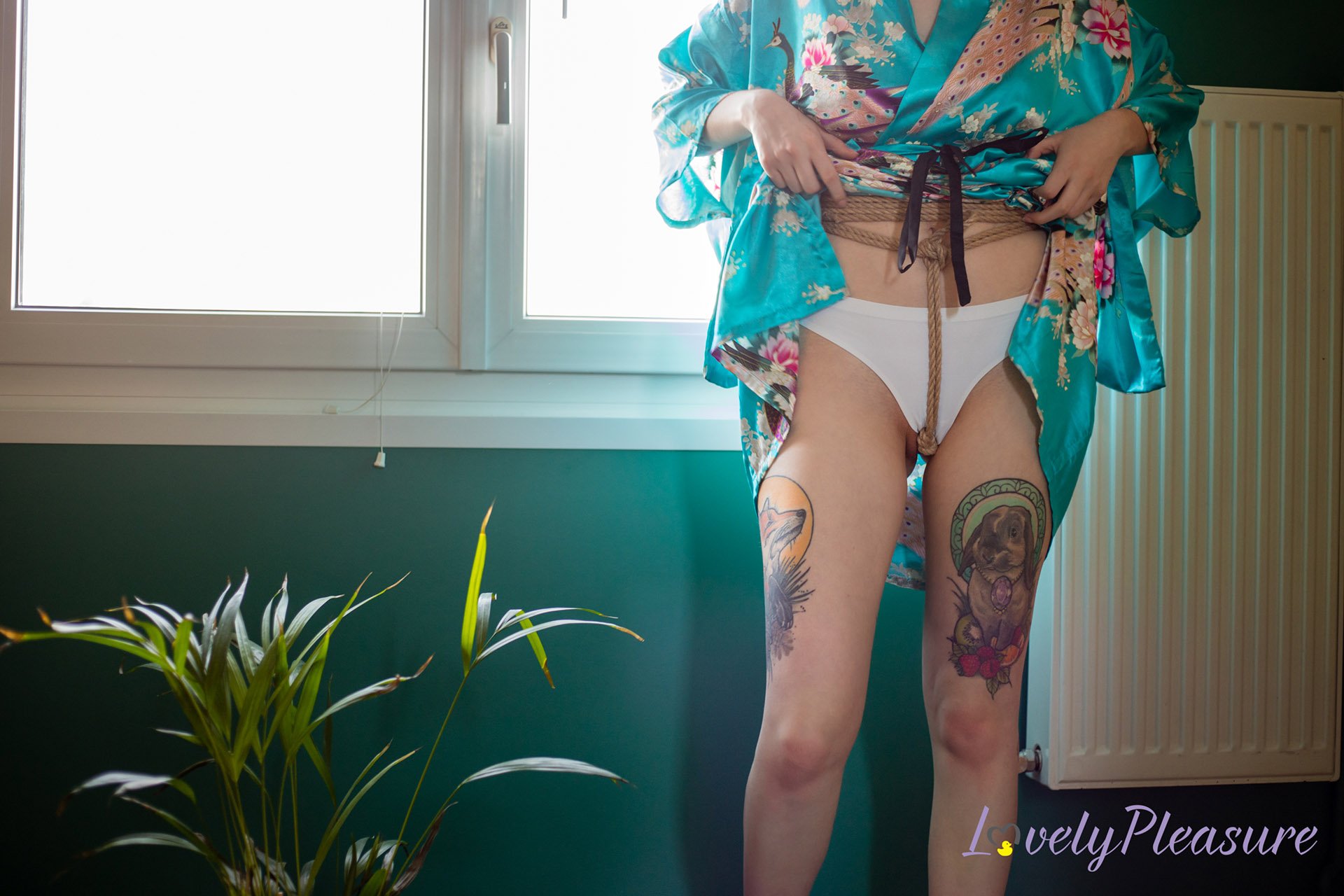 Photo 2 de L'art du shibari vol. 1 : les bases au sol