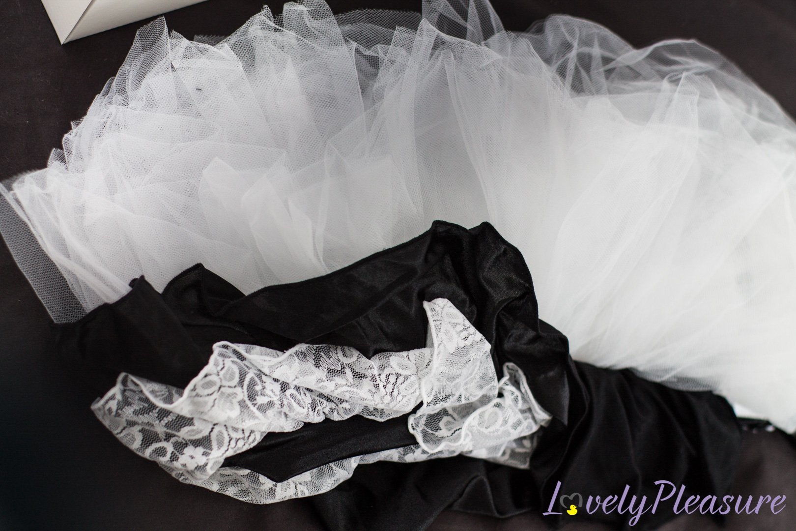 Photo 6 de Miss et du Costume Femme de Chambre - Obsessive