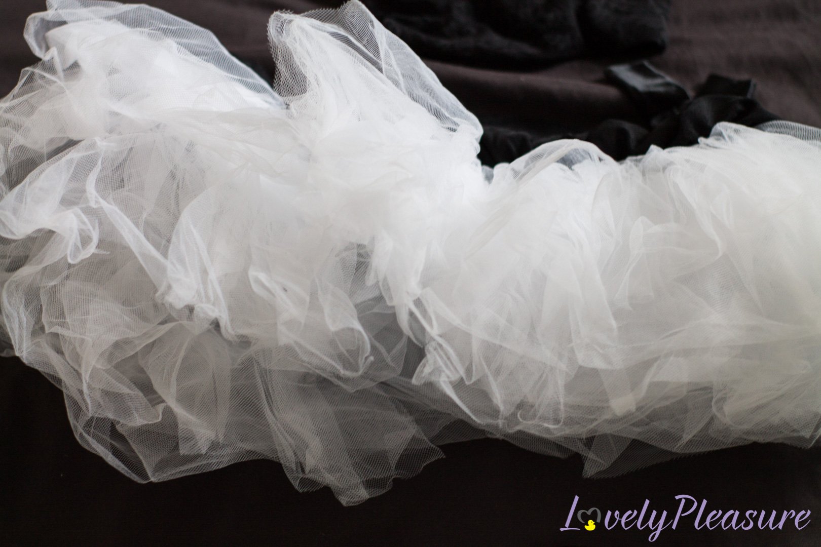 Photo 9 de Miss et du Costume Femme de Chambre - Obsessive