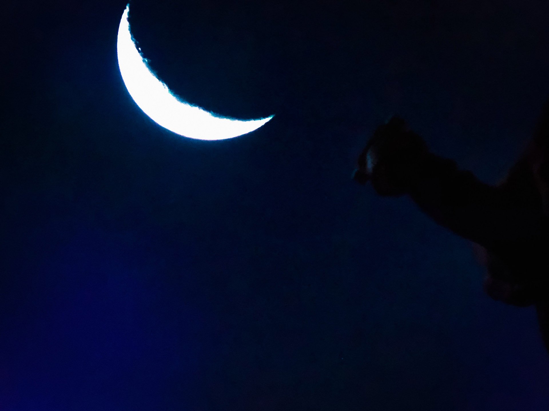 Thème To the Moon
